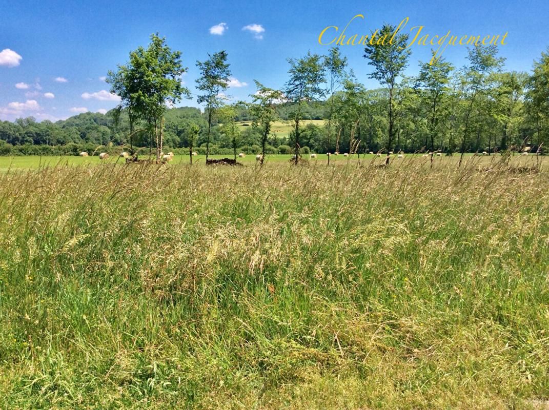 SAINT-JEAN-DE-COLE TERRAIN A BATIR 3