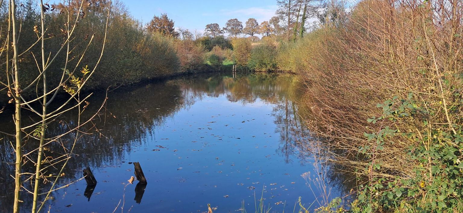 A DIX MN DE LAVAL OUEST Terrain de Loisir avec ETANG