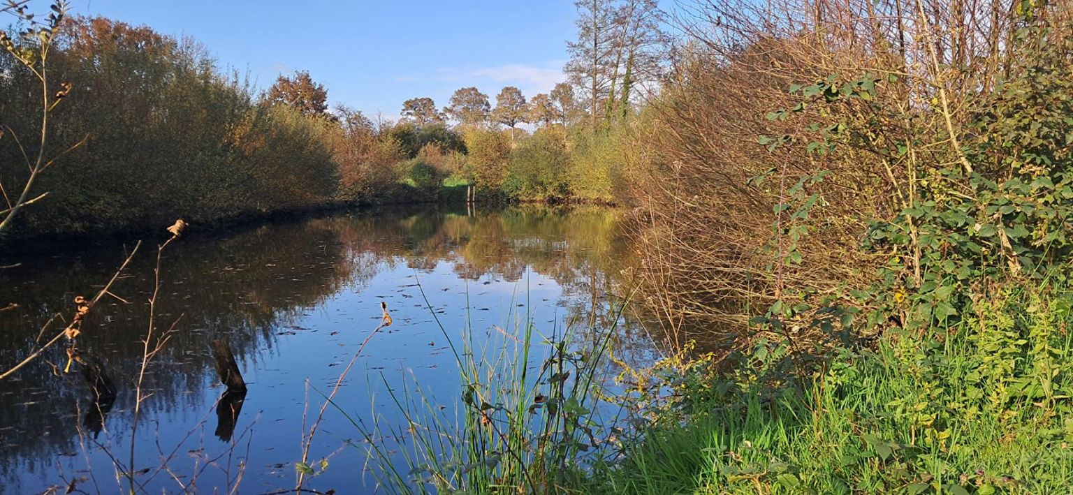 LAVAL A DIX MN DE LAVAL OUEST Terrain de Loisir avec ETANG 2