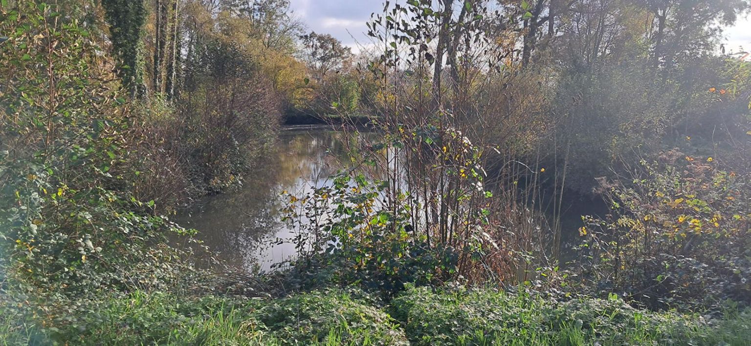 LAVAL Terrain de Loisir avec ETANG 3