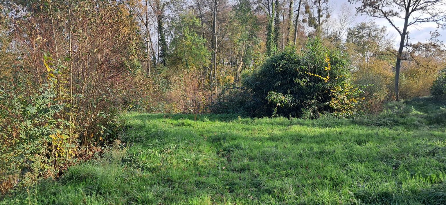 LAVAL Terrain de Loisir avec ETANG 4