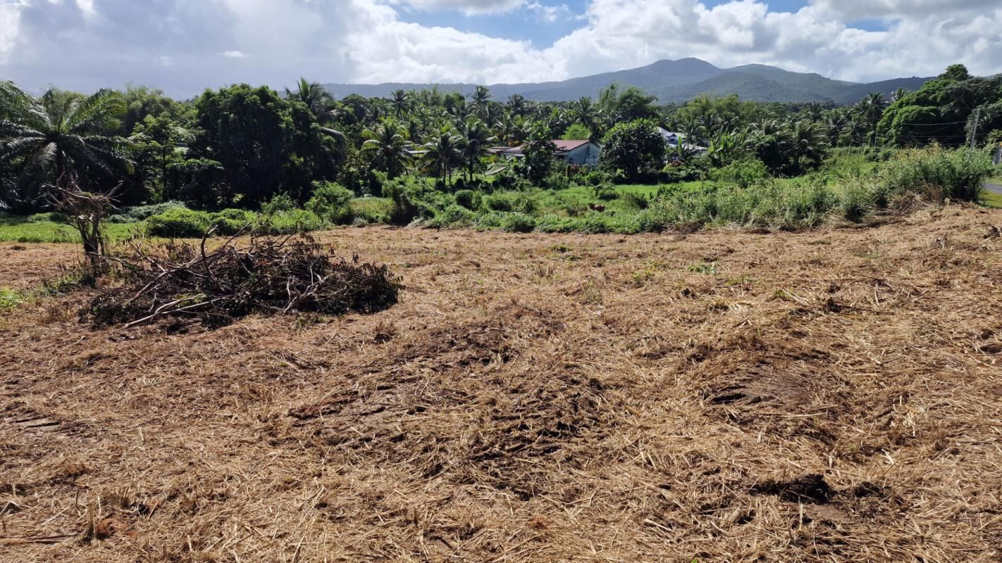 SAINTE-ROSE Terrain plat secteur Cacao 97115 Sainte-Rose Guadeloupe 4