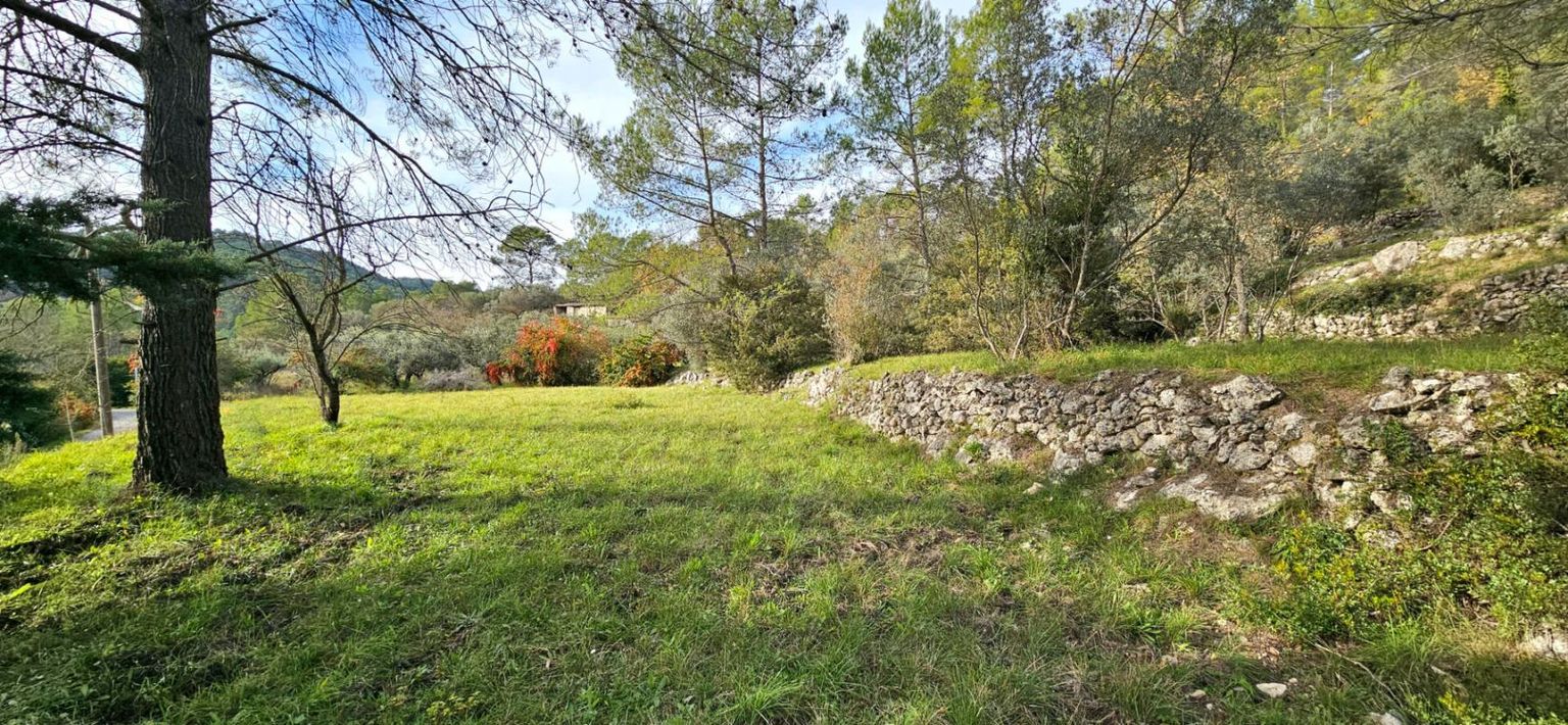 Terrain agricole avec cabanon en pierres à l'état de en ruine