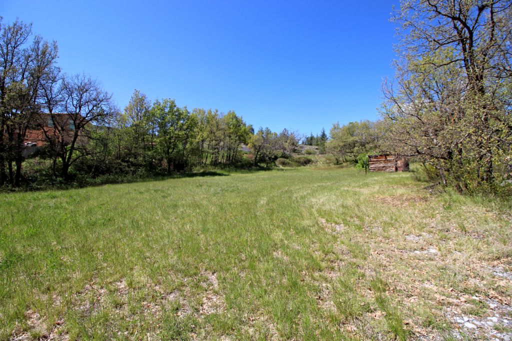 LE BRUSQUET Alpes-de-Haute-Provence : Terrain viabilisé 856m2 Le Brusquet (04 420) 4