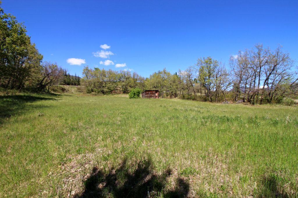 LE BRUSQUET Alpes-de-Haute-Provence :Terrain viabilisé 877m2 Le Brusquet (04 420) 2