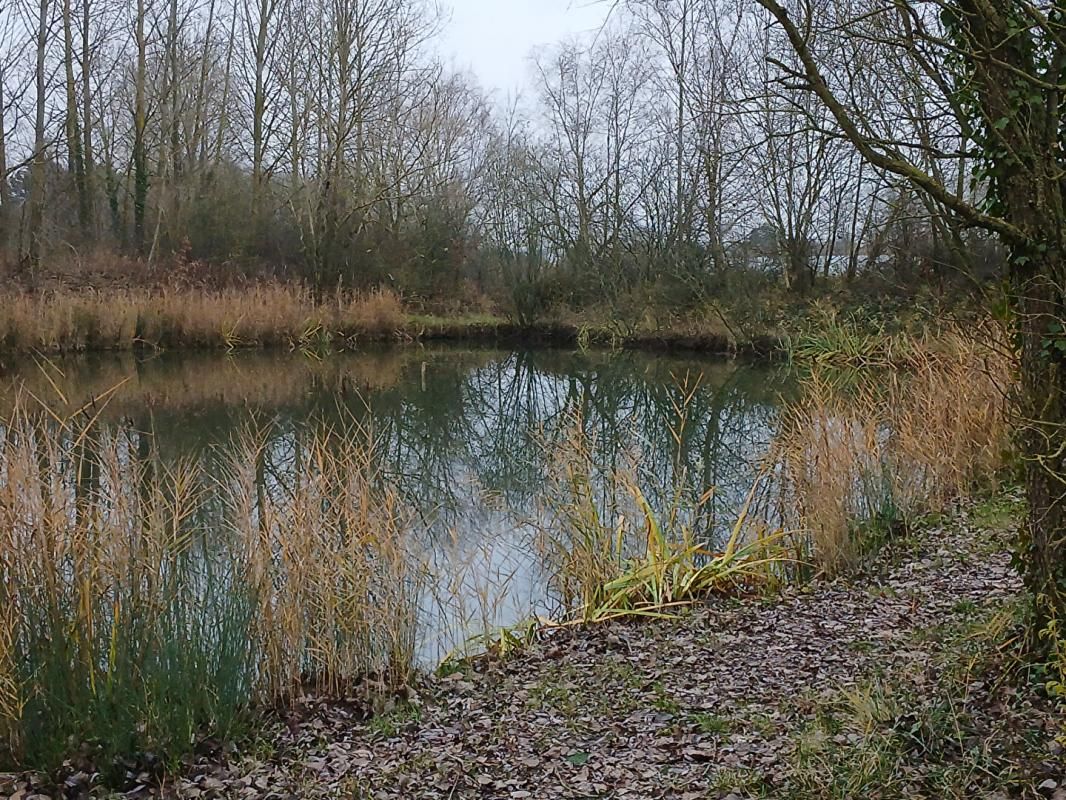 LILLE Etang de pêche AUBERS 2