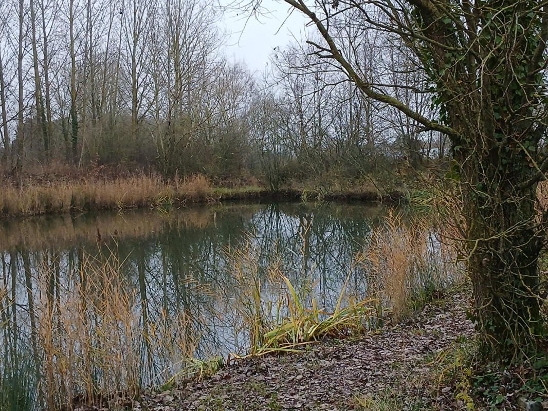 LILLE Etang de pêche AUBERS 4