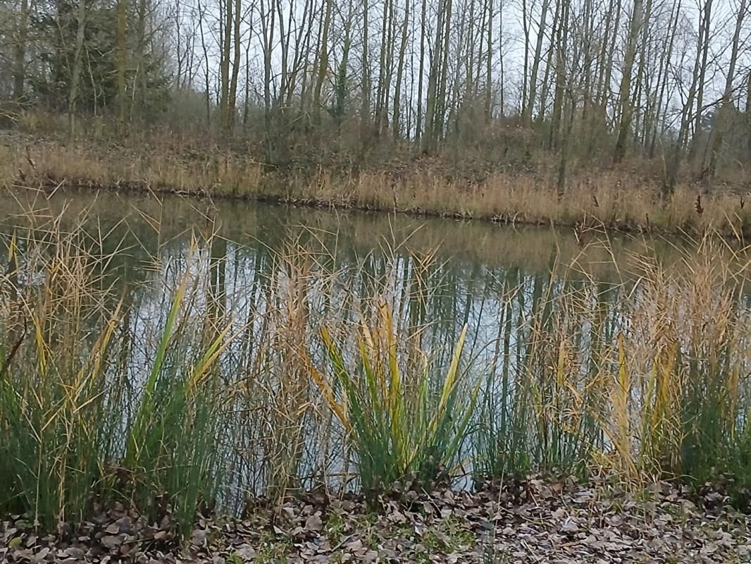 ETANG  AUBERS 3141 m2