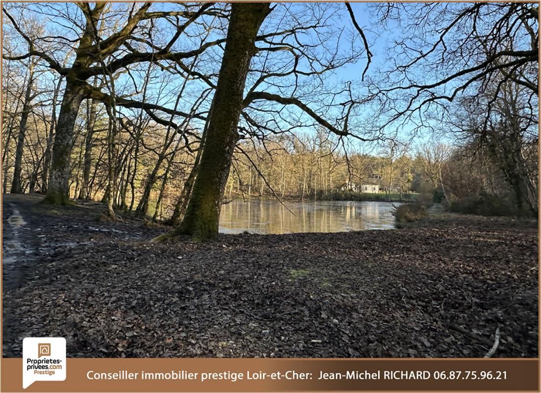 NEUVY-SUR-BARANGEON Propriété de chasse Sologne 174hectares 4