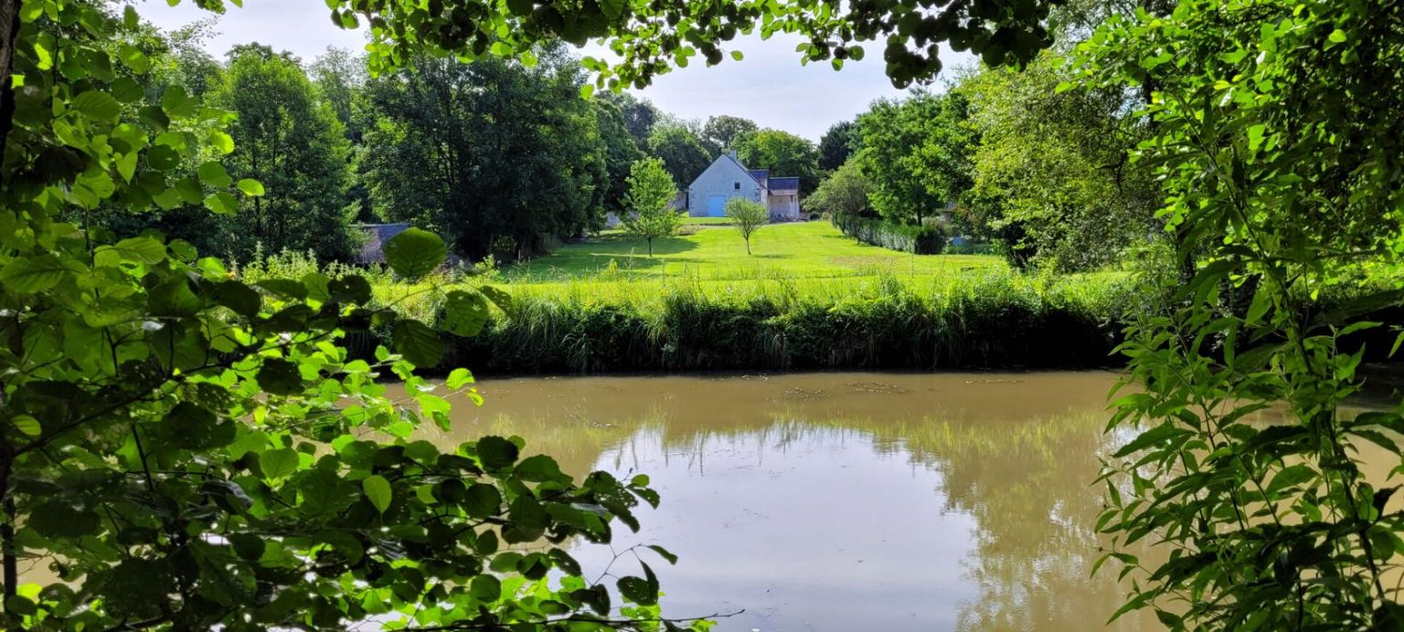 LANDES-LE-GAULOIS Demeure contemporaine nichée dans son cadre verdoyant 3