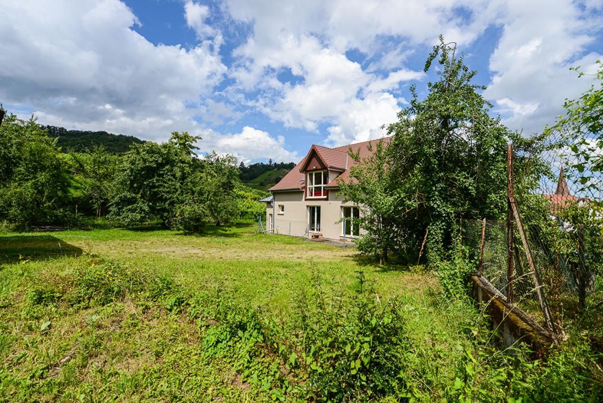 NIEDERMORSCHWIHR Maison 7 pièces Nierdermorschwihr 2