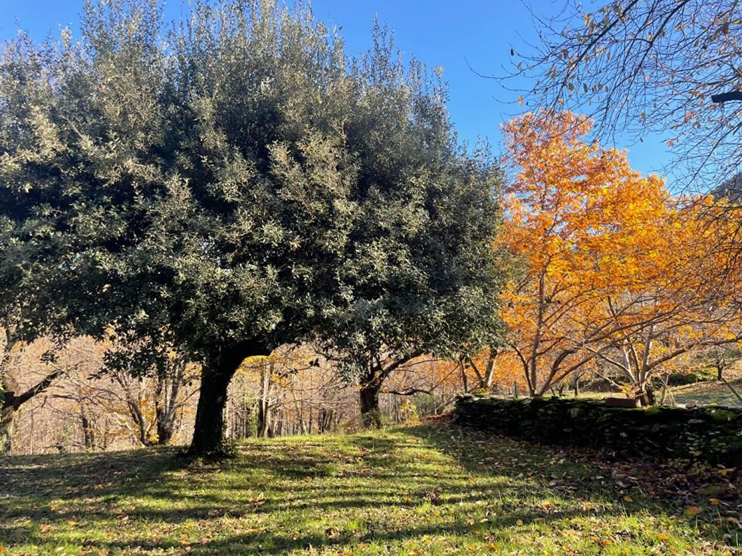 ANDUZE Mas cévenol idéal pour création de gîtes 4