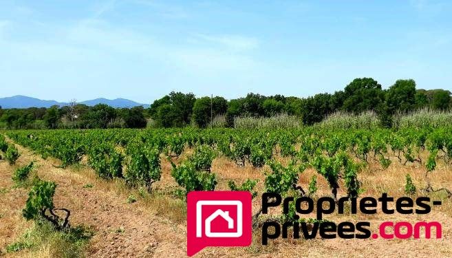 Maison Vidauban  8 pièces terrain 5 hectares