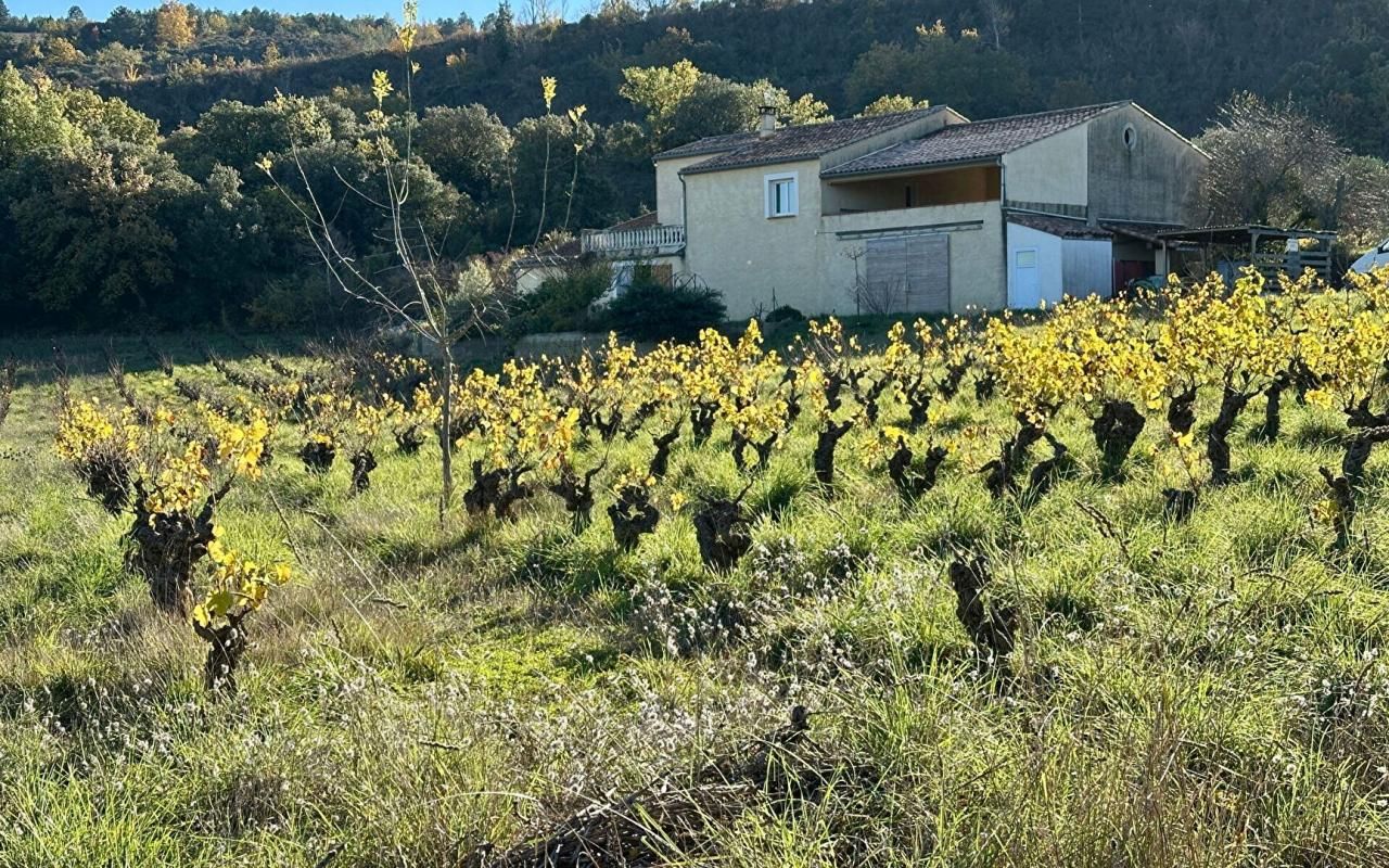 LIMOUX Domaine Viticole avec Maison, Gîte en Activité et Vignes 2