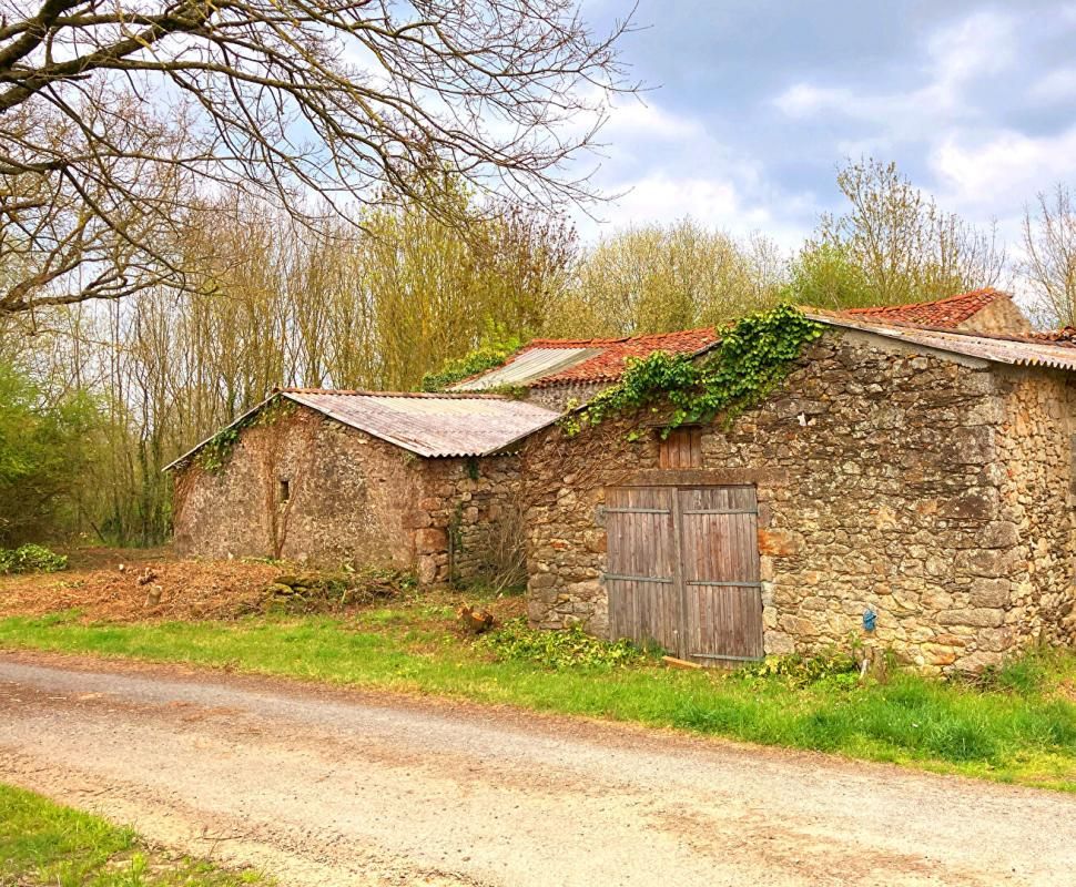 Grange et terrain multi usages