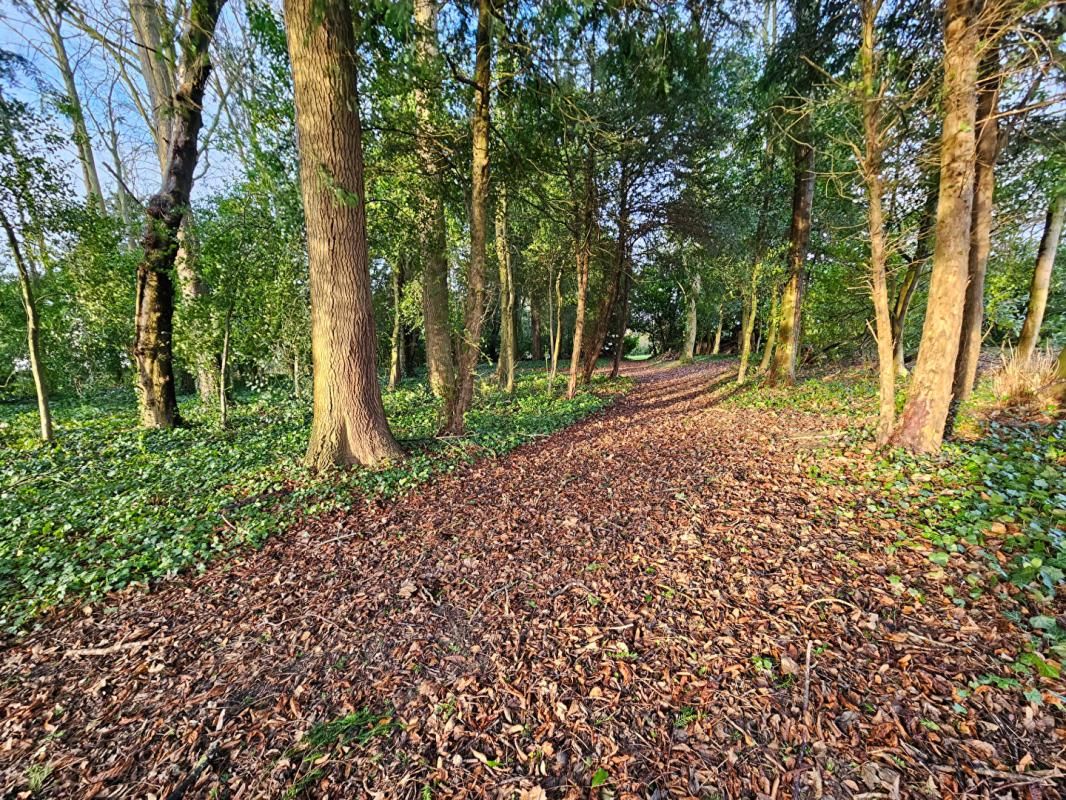 SAINT-NICOLAS-DE-LA-TAILLE Terrain à bâtir Saint-Nicolas-De-La-Taille 1100 m2 2