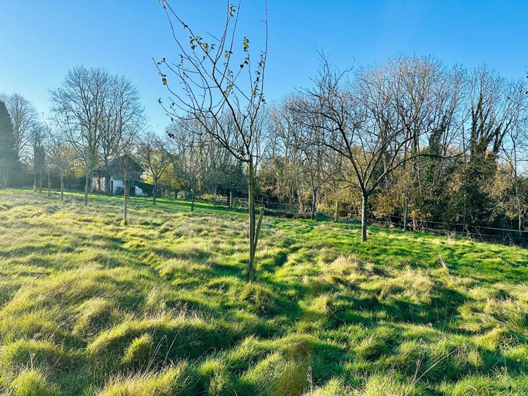 PONT-L'EVEQUE Maison au calme de 143 m² sur 1.5 hectare de prairie 3