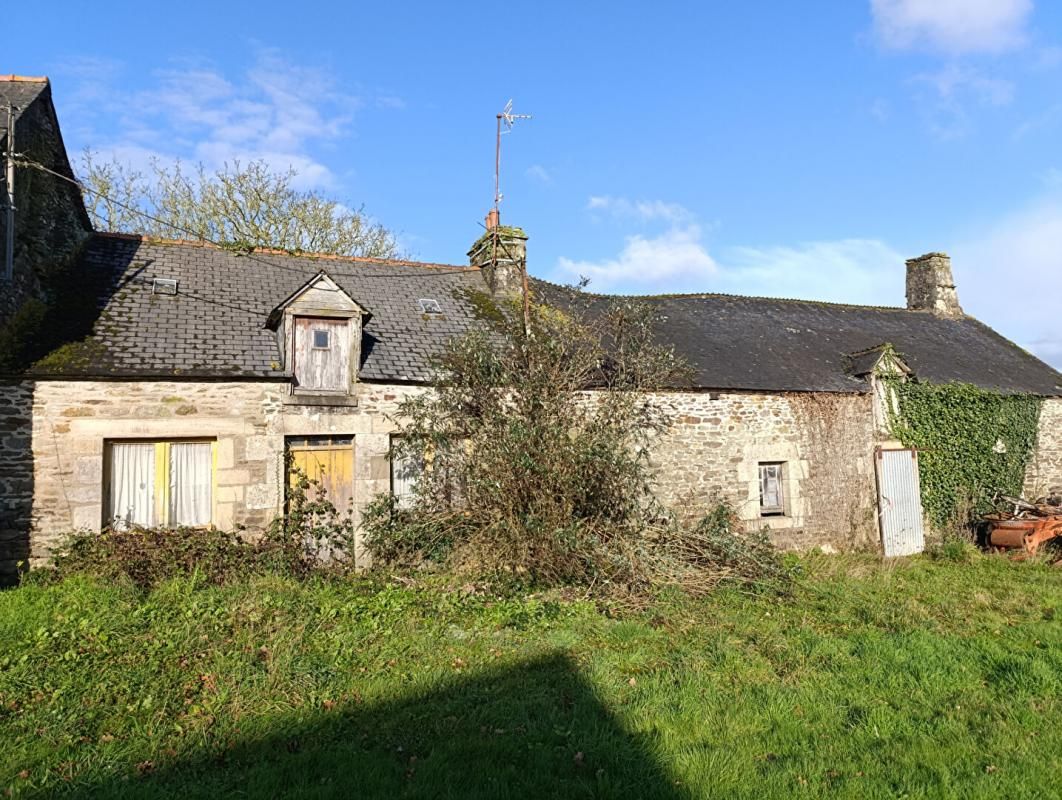 Maison en pierres, grand hangar et terrain