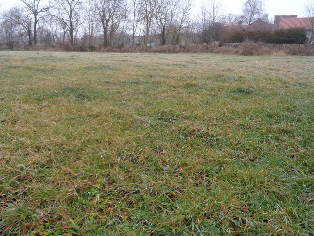 LE BRIGNON Le Brignon (43), terrain constructible de 3296 m2 4