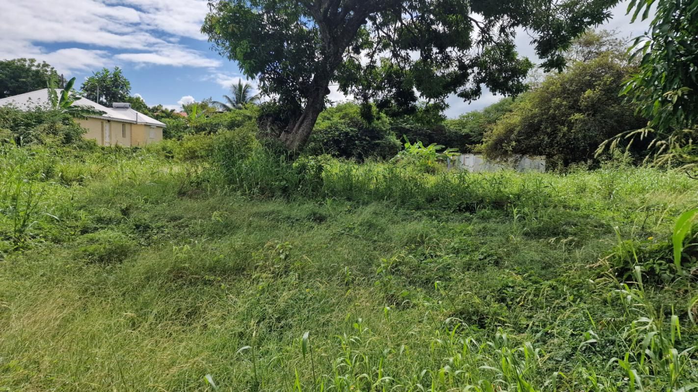 Beau terrain plat de 800m²  aux prix de 98000 Petit Canal  97131 Guadeloupe