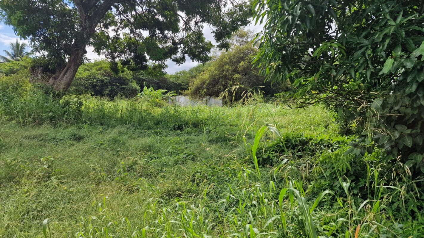 PETIT-CANAL Beau terrain plat de 800m²  aux prix de 98000 Petit Canal  97131 Guadeloupe 2