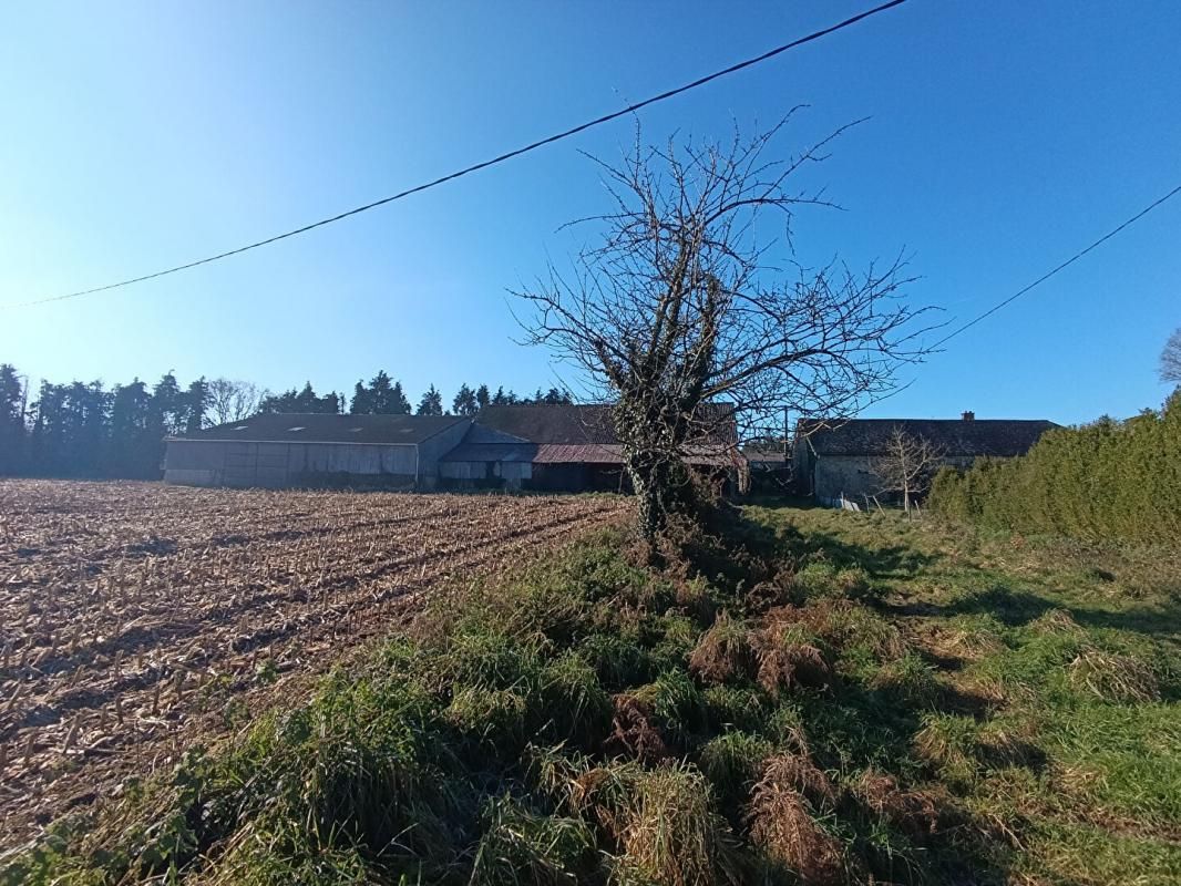 NOYAL-PONTIVY Ancien corps de ferme Noyal Pontivy 420 m2 3