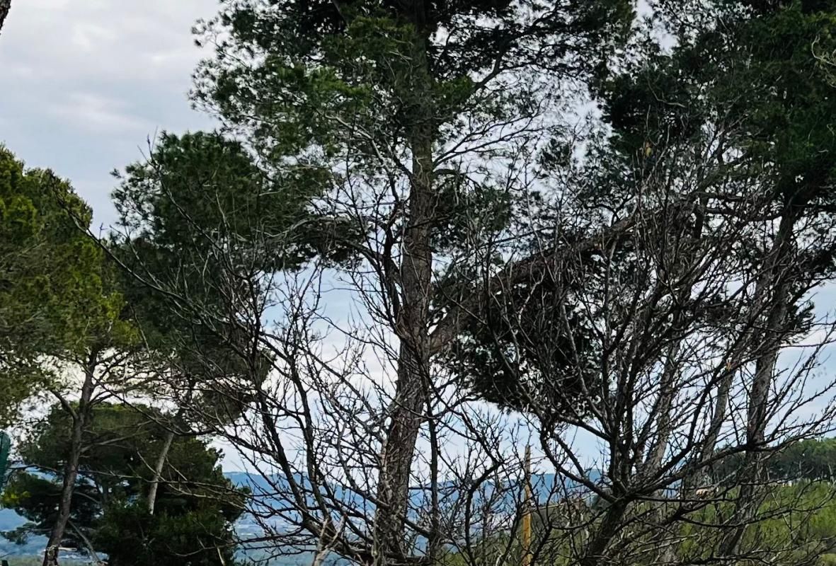 les haut du camp du Castellet