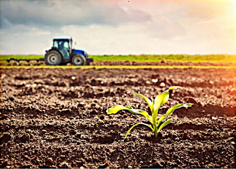 Terres agricoles, Mesnil sur l'Estrée (27650), 32 1990 m². Prix FAI : 348 886