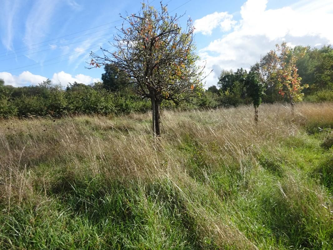 LUREUIL Terrain de loisirs 2