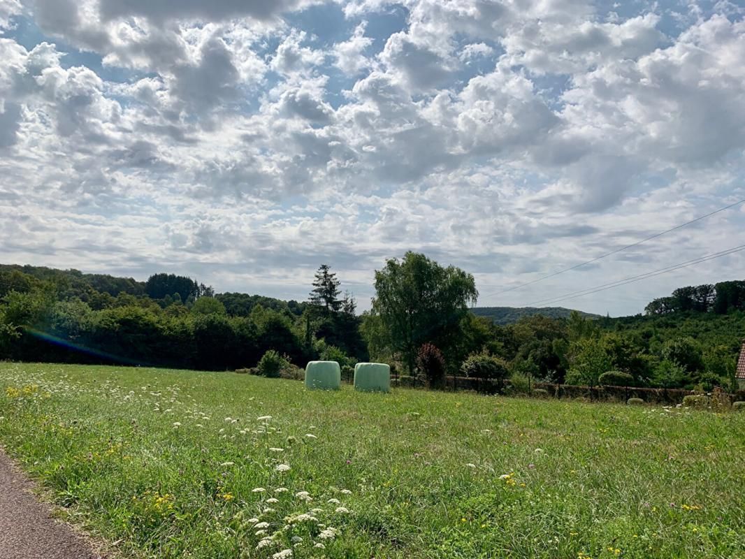 CHALONVILLARS Terrain avec vue ! 1