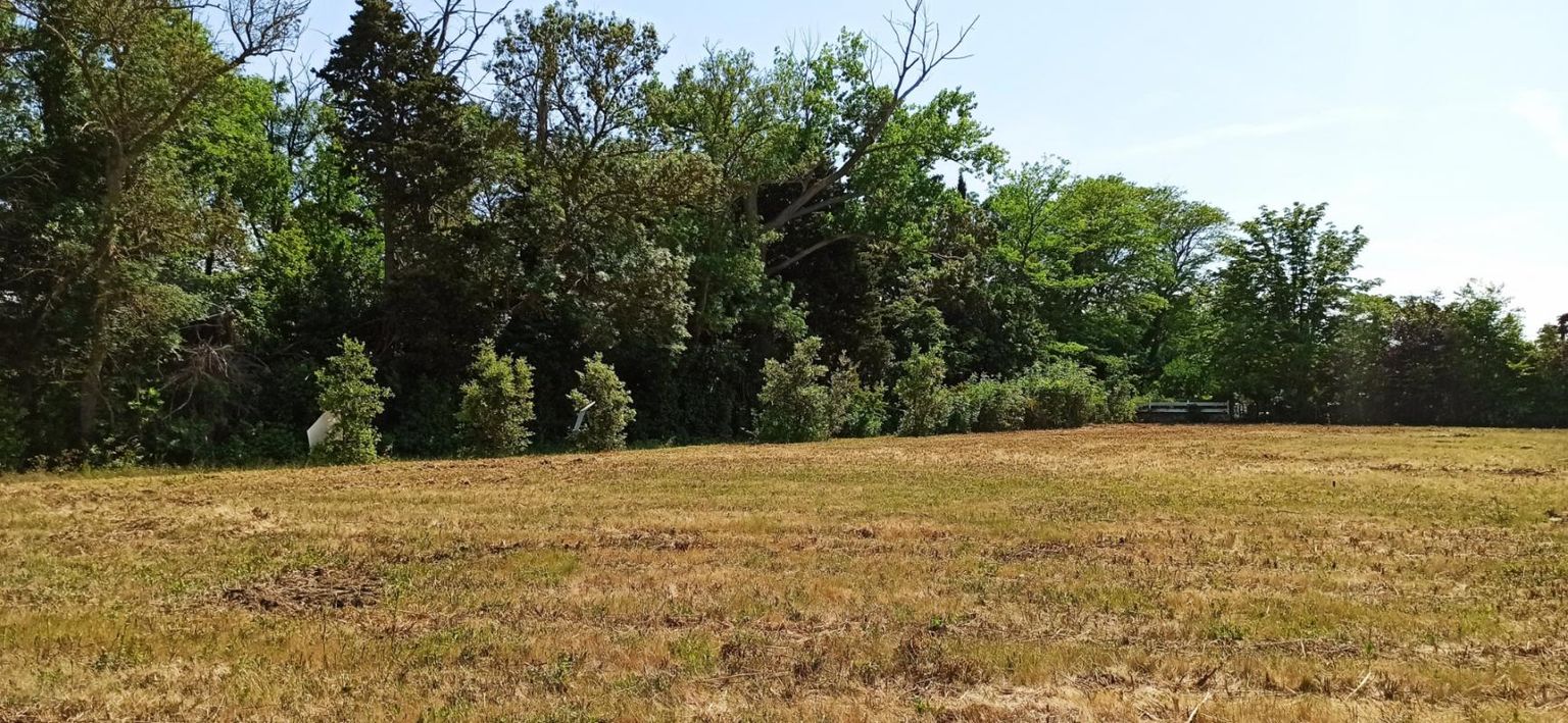 CASTELNAUDARY Terrain constructible à Castelnaudary  de 428 m2 3