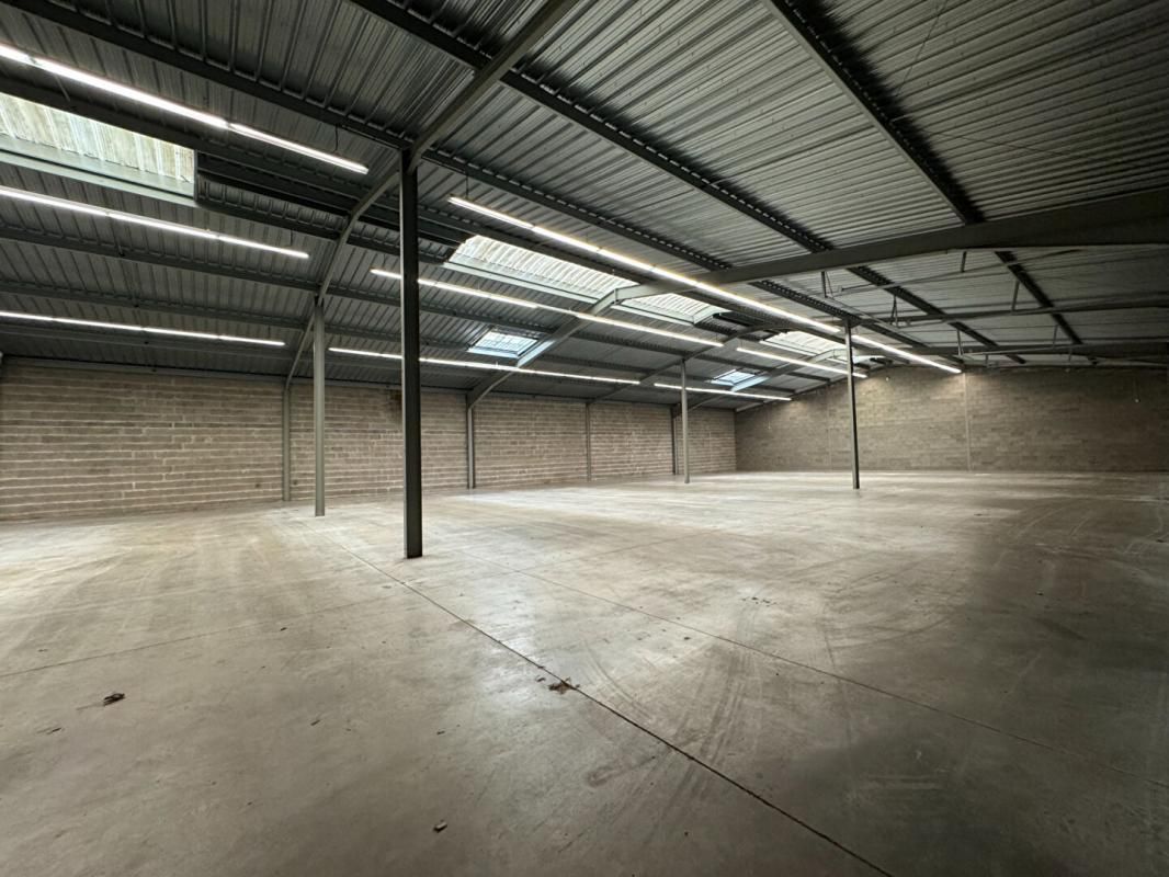 TOURS 37000 TOURS - Entrepôt / local industriel 1320 m² 2