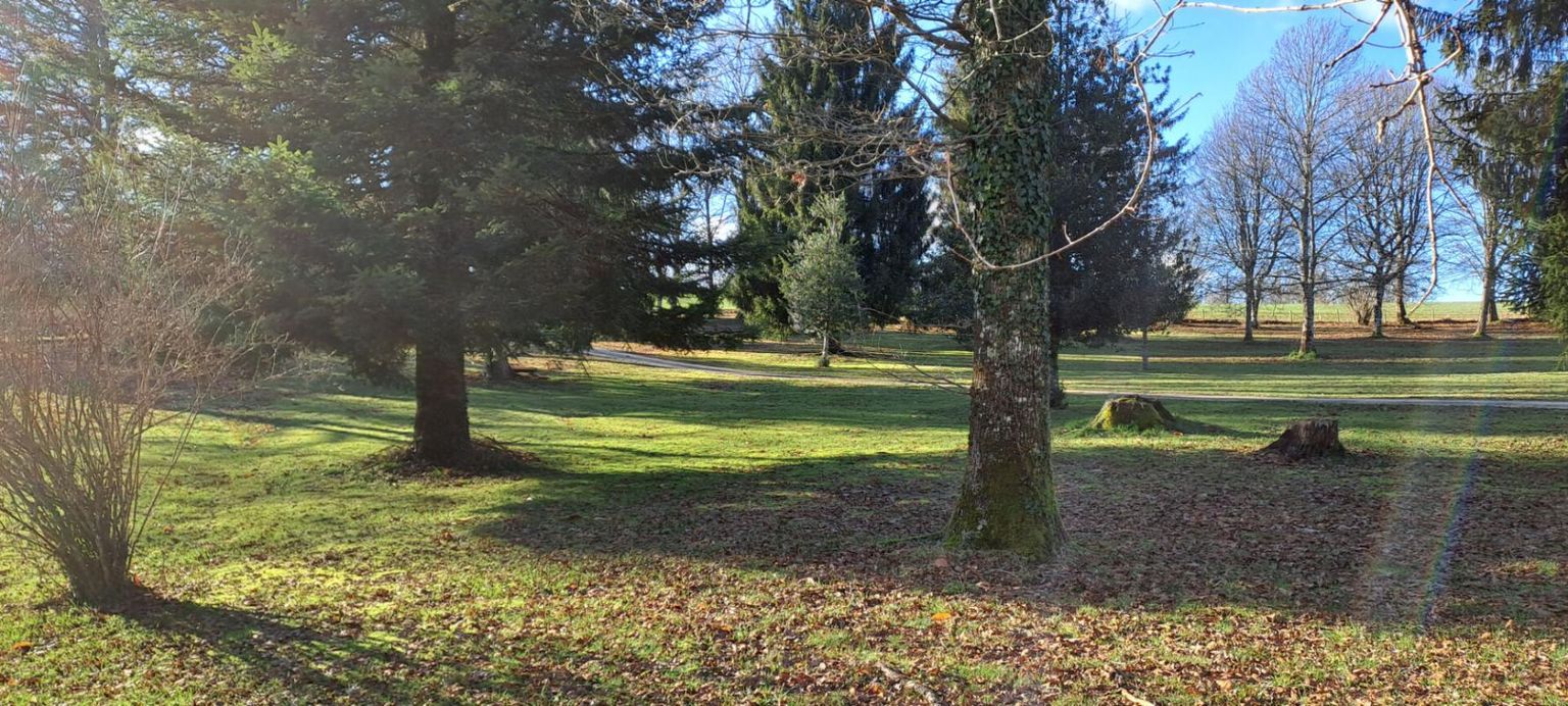 SAINT-YRIEIX-LA-PERCHE Très belle propriété 4