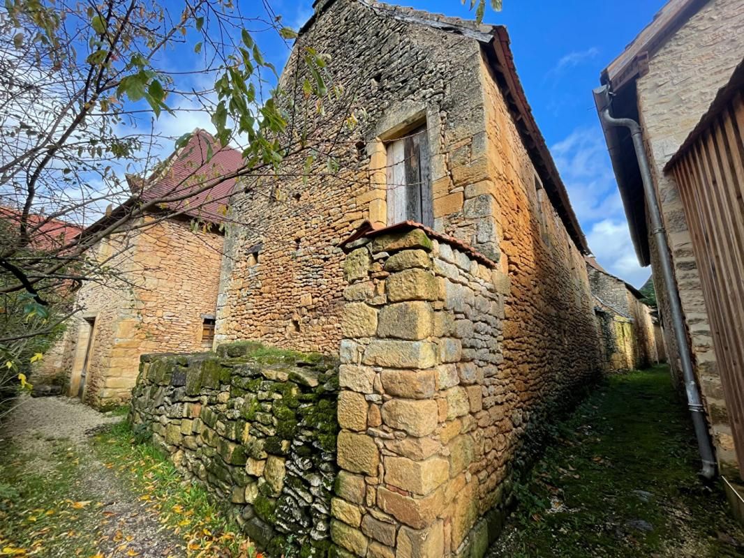 St Léon sur Vézère - Maison en Pierre à Rénover