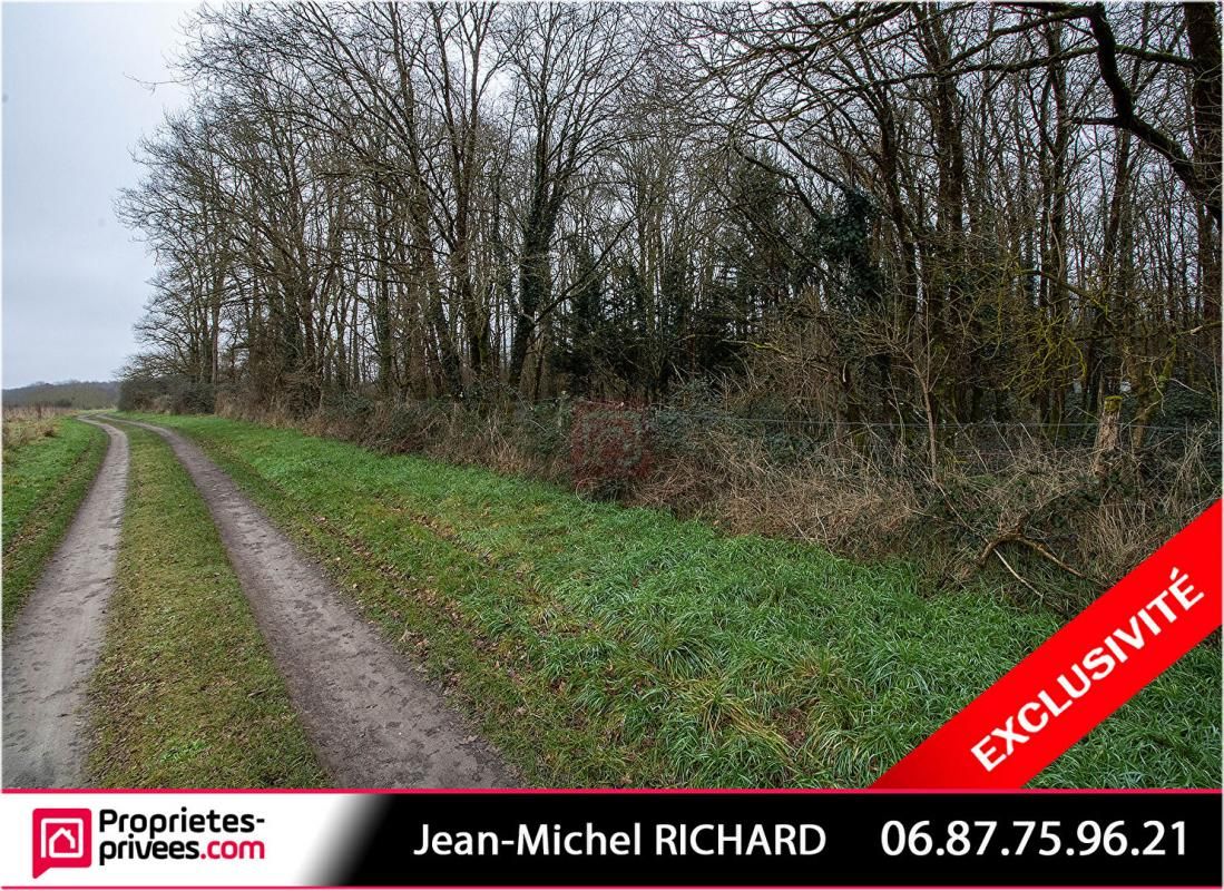 CONTRES Terrain de loisirs Le Controis En Sologne 10Hectares 2