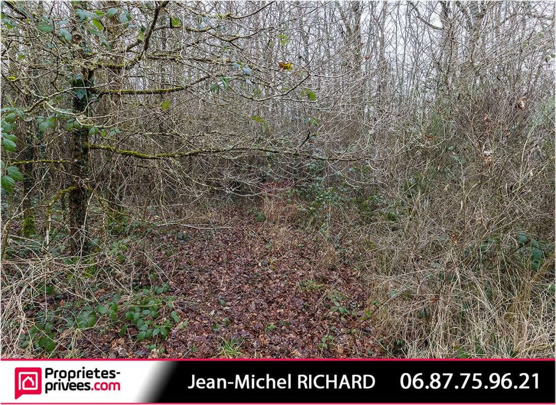 CONTRES Terrain de loisirs Le Controis En Sologne 10Hectares 4