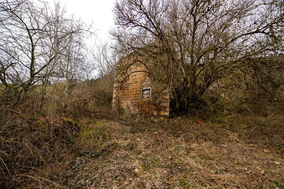 VIOLAY Terrain de loisirs avec construction bois 2