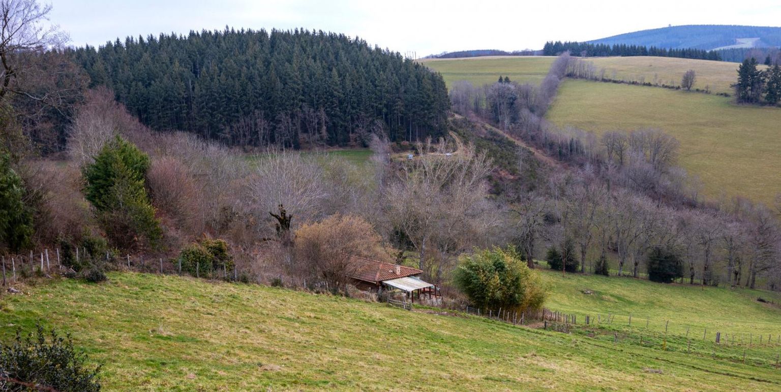 VIOLAY Terrain de loisirs avec construction bois 3