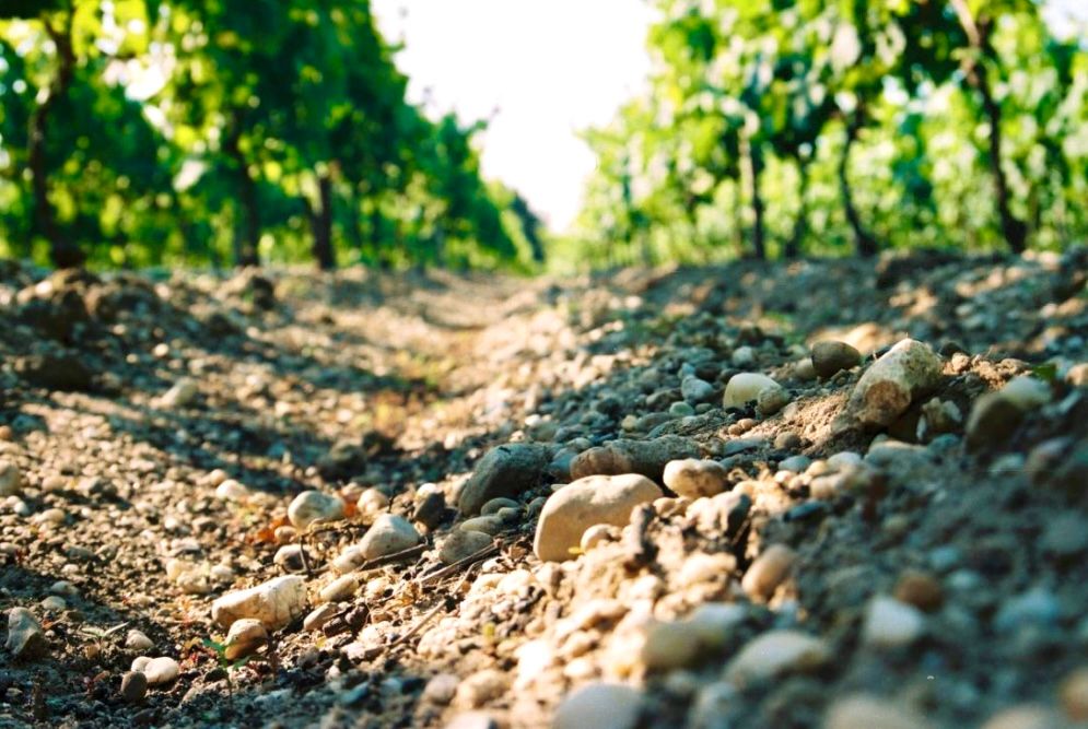 POMEROL Propriété d'Exception en AOC Pomerol 1