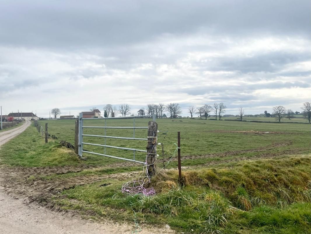 LE PIN Corps de ferme avec maison de 94 m² et 5.1 ha de pré 3