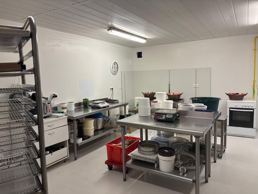 ANNECY SECTEUR ANNECY - Laboratoire Alimentaire 270 M² 4