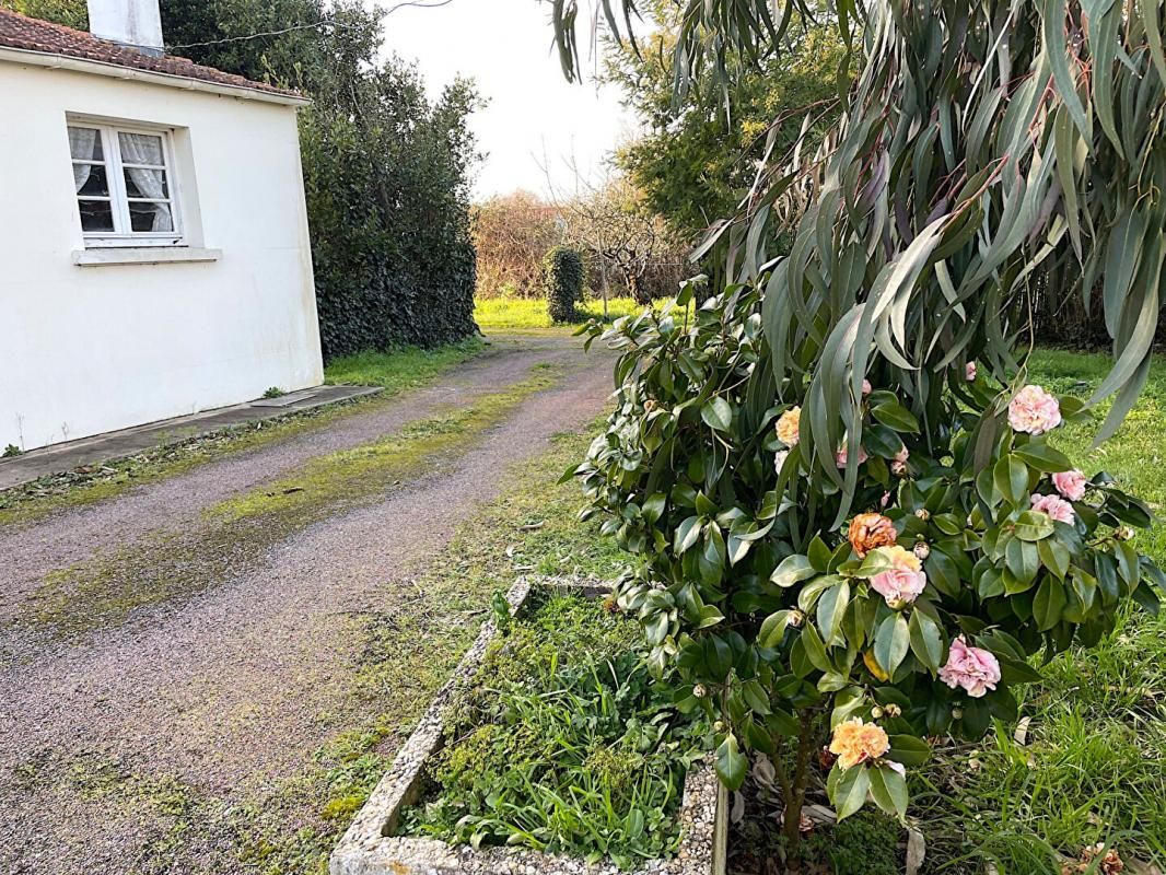 DOLUS-D'OLERON - 17550 - Maison  5 pièce(s) 110 m2 à Rénovée  avec terrain de 2 130 m2 - Dolus d'Oléron - Ile d'Oléron - 3