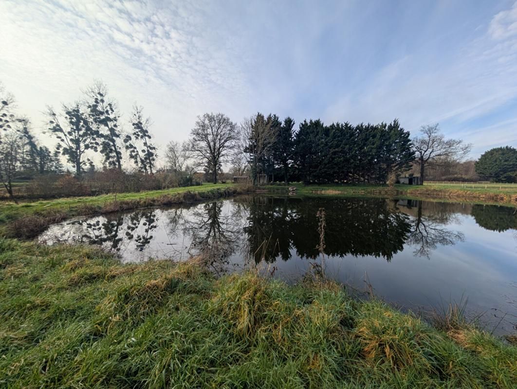 AVRILLE-LES-PONCEAUX A vendre Terrain de loisirs avec étang  de 7300 m² - 37340 AVRILLE LES PONCEAUX 3