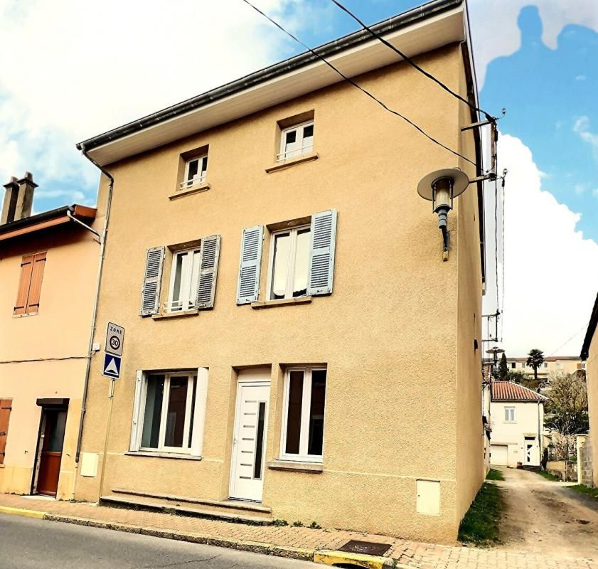 Immeuble Montmerle Sur Saone 8 pièce(s) 191 m2