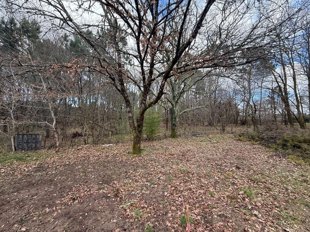 SALLES MAISON HORS D'EAU HORS D'AIR EN BOIS 84M² 4