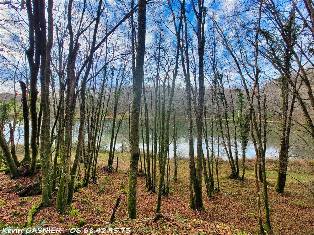 SERS GRASSAC (16380) : Etang et bois sur 3 hectares 4