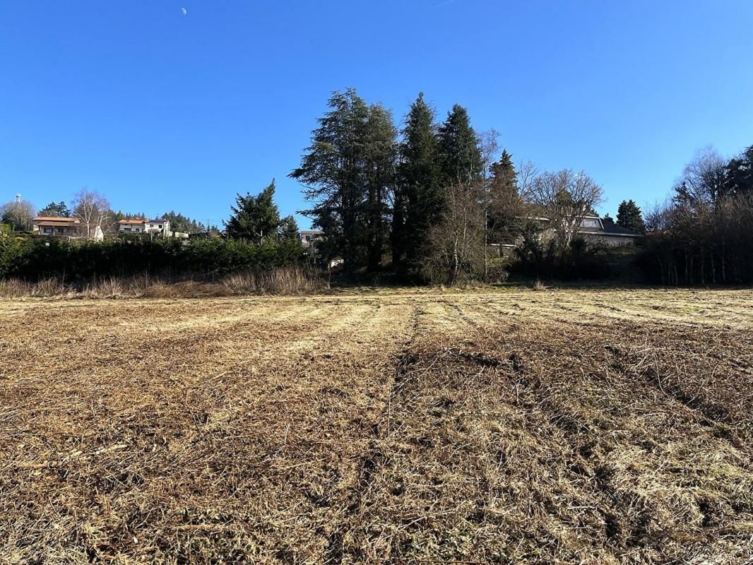 VIOLAY Terrain Violay  830 m2, viabilisé avec belle vue dégagée 4