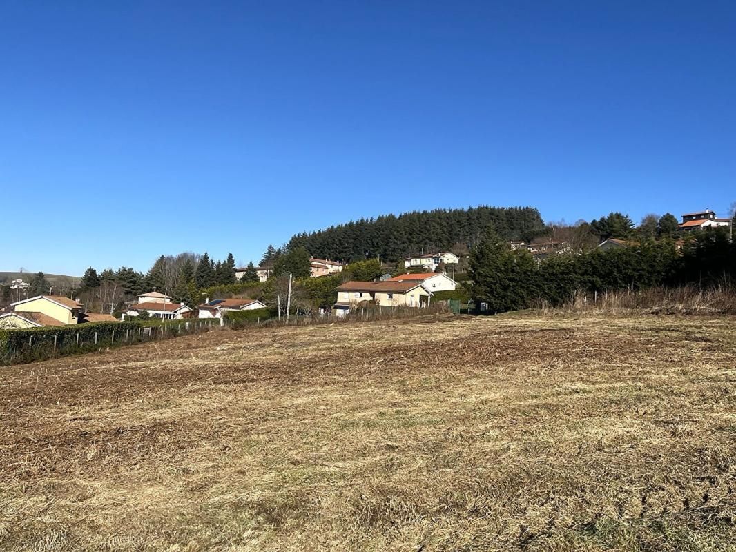 VIOLAY Terrain  800 m2 3