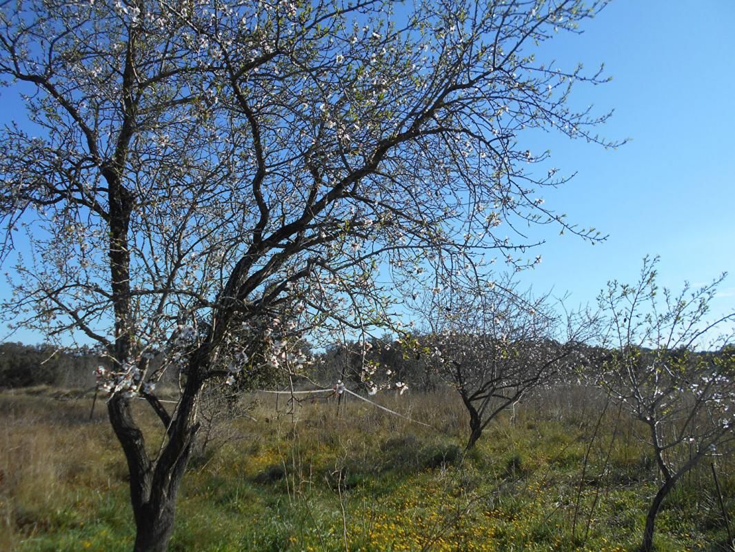 Terrain de loisirs Saint Pons De Mauchiens 2300 m2, 16990