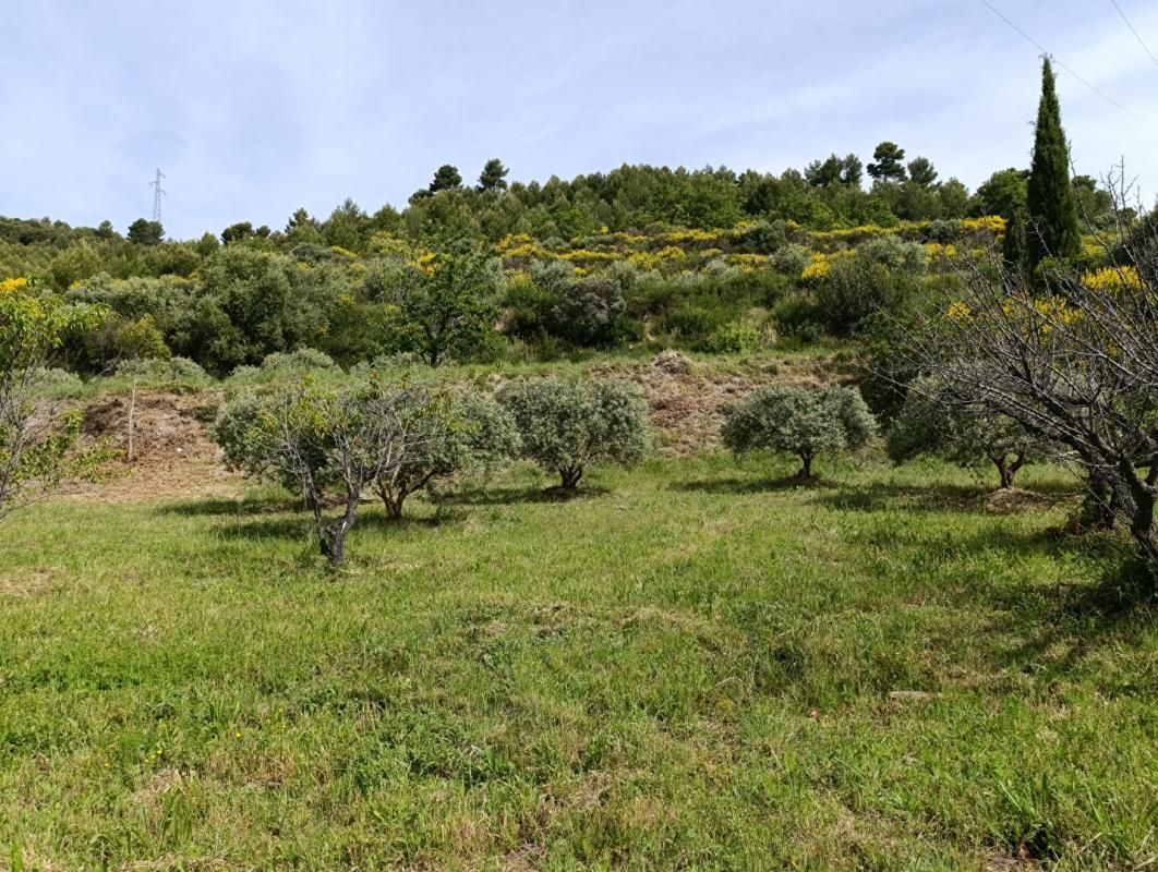 MANOSQUE Magnifique terrain 1840 m2 vue panoramique ! 3